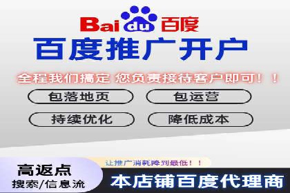 百度推广公司案例解析：如何利用大数据优化营销策略